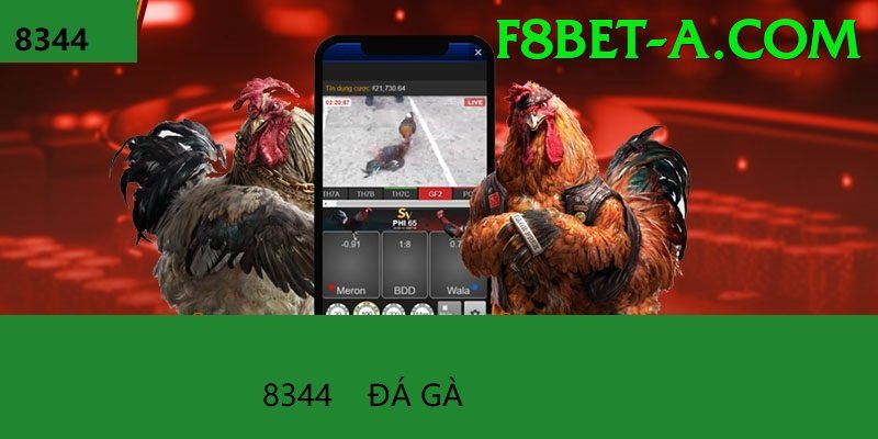 Đá Gà Trực Tiếp - Trải nghiệm tuyệt vời